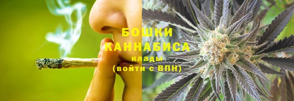 не бодяженный Бородино