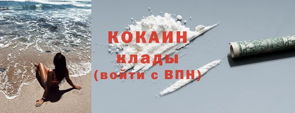 не бодяженный Бородино