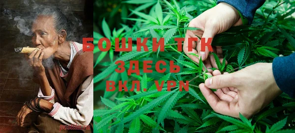 не бодяженный Бородино