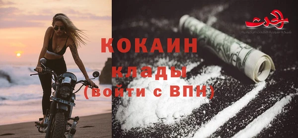 не бодяженный Бородино